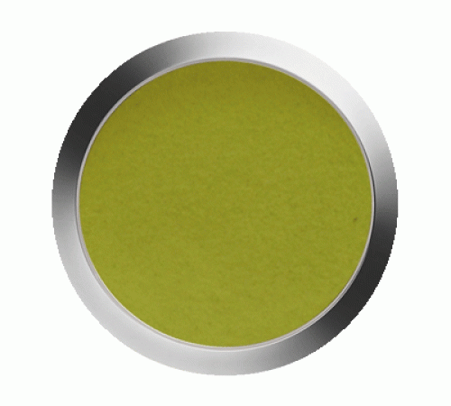 Acryl Farbpulver Magic Green