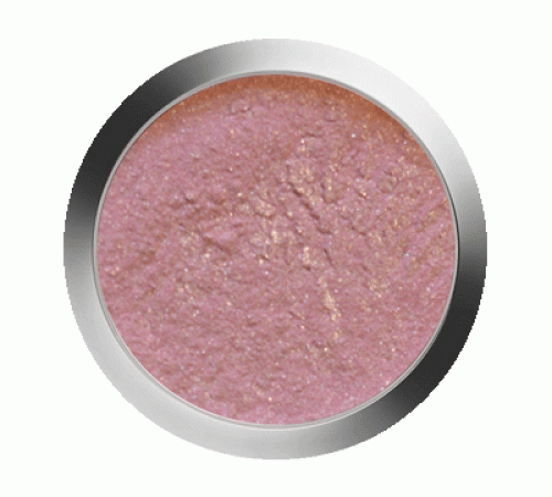 Acryl Farbpulver Frozen Berry