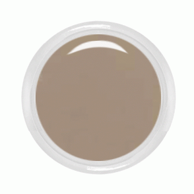 Farbgel No.1522 Noble Nude