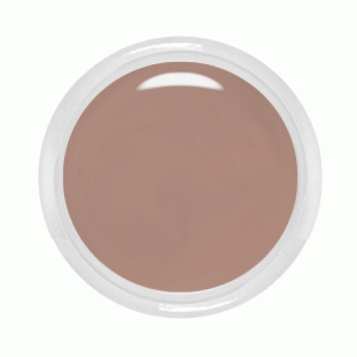 Farbgel No.404 Rosy Clay