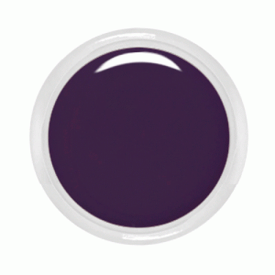 Farbgel No.734 Dark Grape