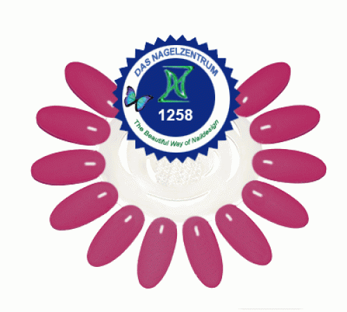 Farbgel No.1258 Miry Mage